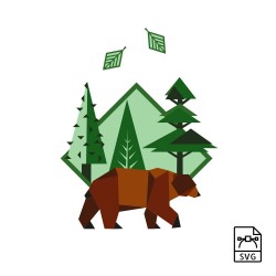 FOTOGRAFÍA BEAR